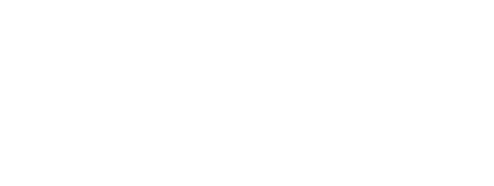 SwiftRay Digital Marketing White Logo